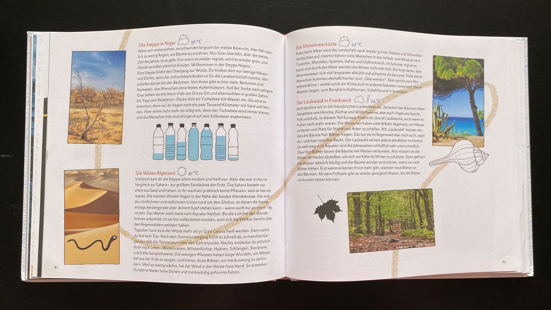 Libri: WOW - DIE ERDE ! – Usato da Nussbaumen AG venduto da schuba2000 6