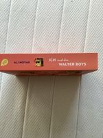 Fantasie Roman Ich und die Walterboys1Band.Gelesen
