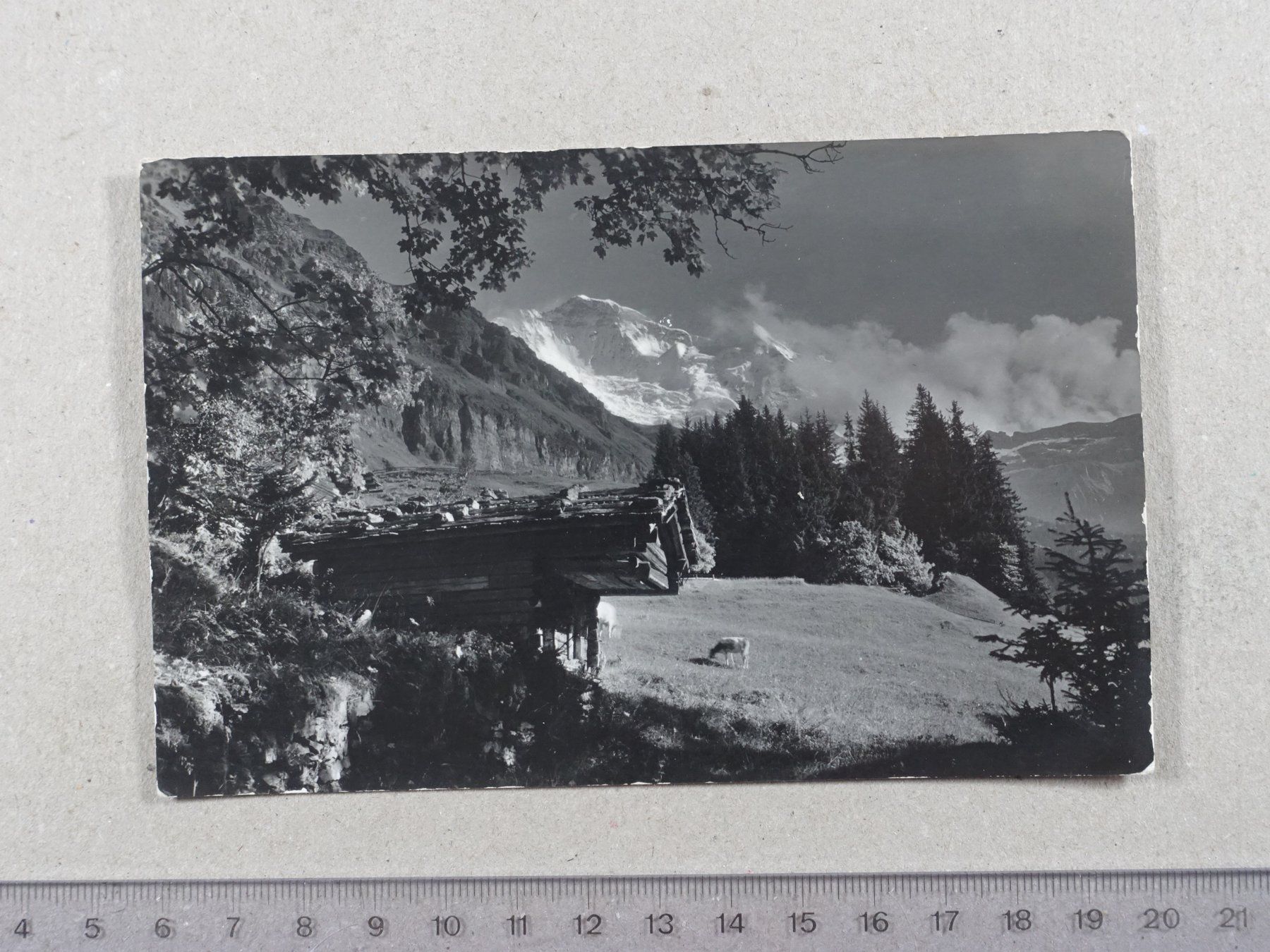 Cartes postales: Wengen, Jungfrau, 1945 – D'occasion à Lenzburg par fh1