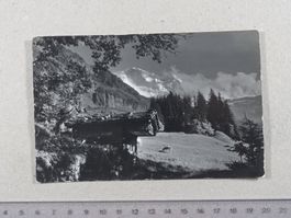 Wengen, Jungfrau, 1945