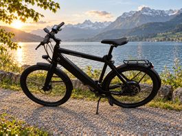 Stromer ST1 M (45 km/h) – frisch ab Service + 2 starke Akkus