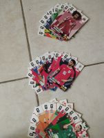 Panini Adrenalin XL Karten 
