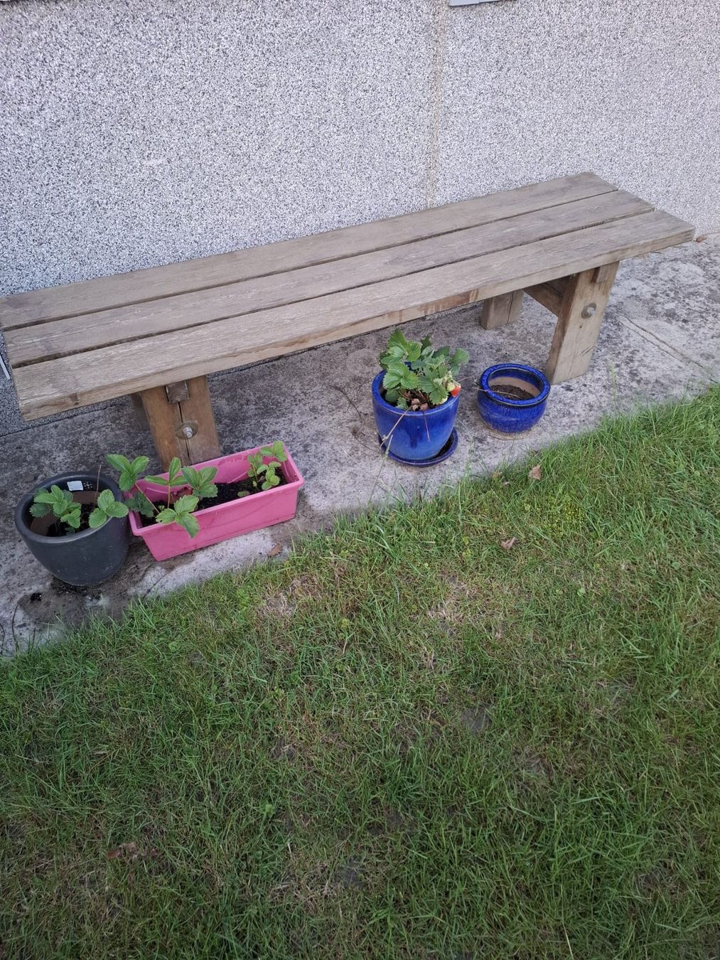 Casette da giardino & serre: Gartenpavillon zu verkaufen – Usato da Wangenried venduto da Nici_09 7