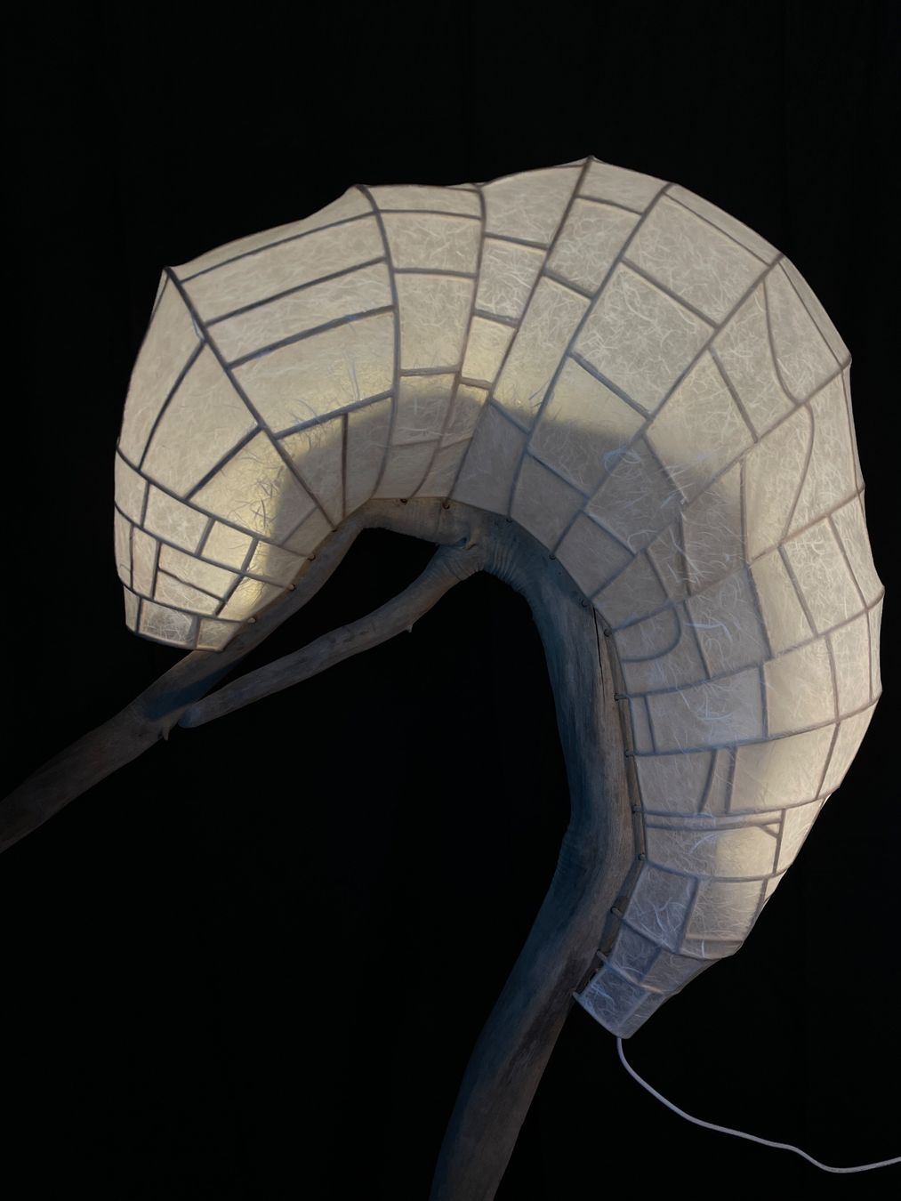 Lampes: Designer Leuchte / Lampe – Neuf (Voir description) à Thalwil par mogli_01 2