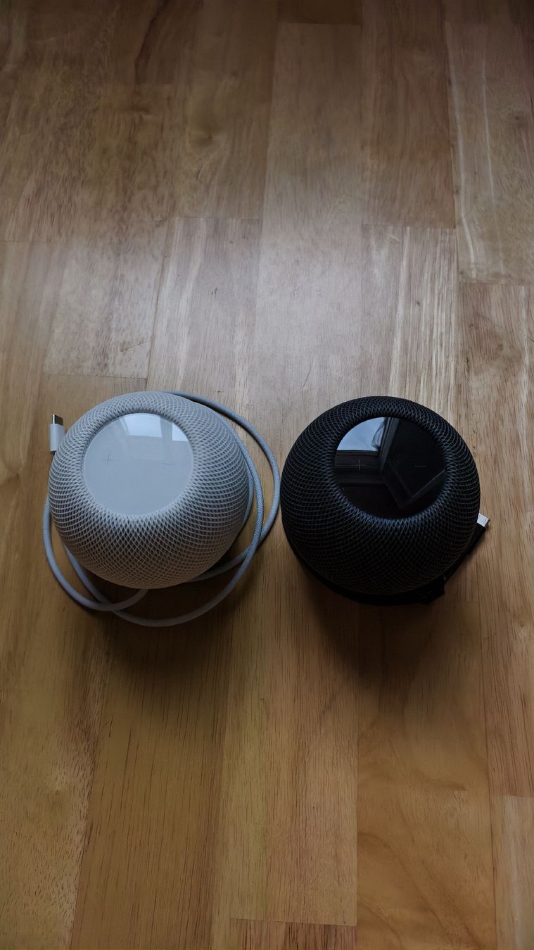 Apple Casse acustiche: Apple Homepod Mini – Usato da Mosnang venduto da chjsch7 1