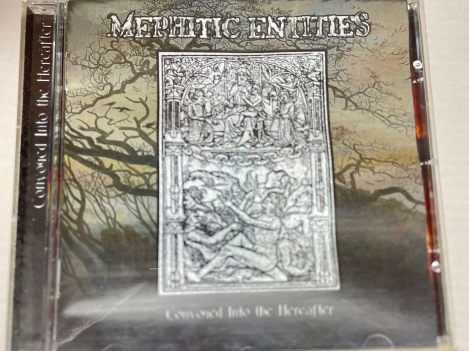 CD: Mephitic Entities-Convoyed into the hereafter – Usato da Muri b. Bern venduto da AdidasCollector 3