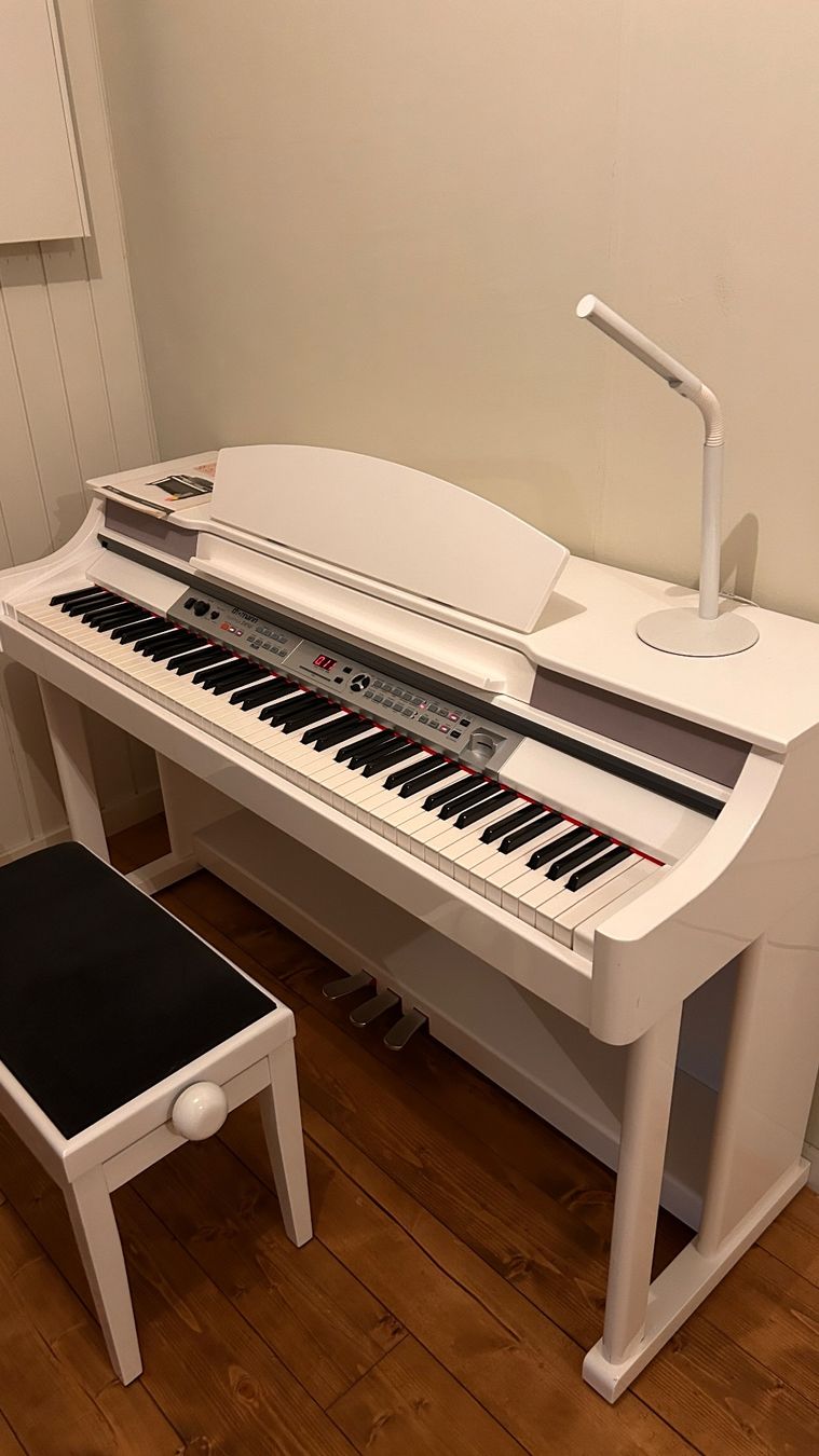 Thomann Strumenti musicali: Digitalpiano Thomann DP 50 – Usato da Frauenfeld venduto da nina___coo