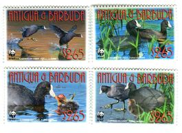 Briefmarken "Vögel". Antigua und Barbuda