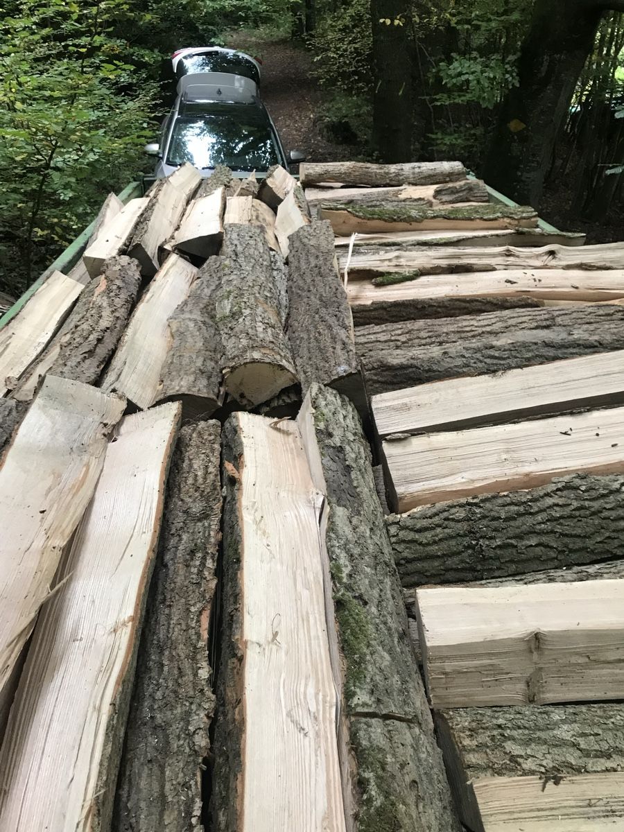Articoli in legno: Brennholz / Cheminéeholz – Nuovo (secondo la descrizione) da Subingen venduto da PaMuri 1