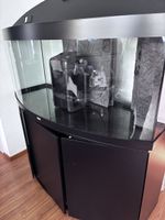 Juwel Vision 450 Aquarium 450L mit Unterschrank & viel Zube