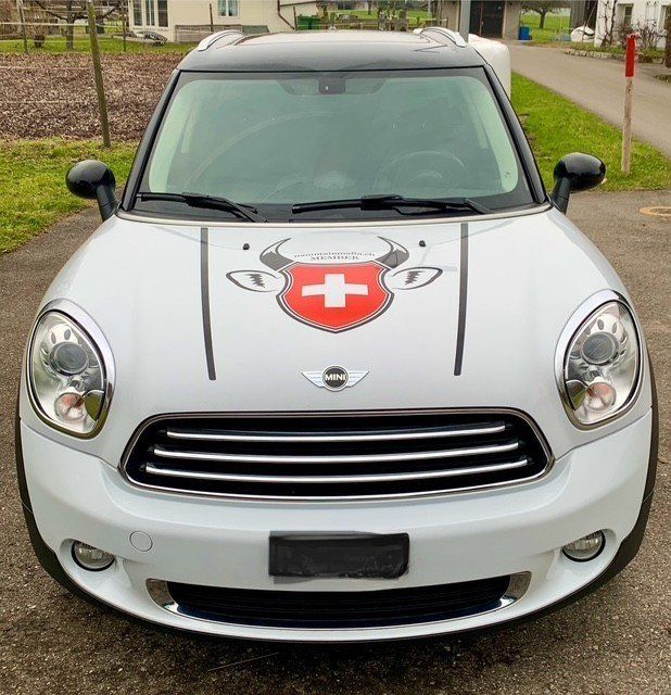 Mini Automobili: Mini Countryman – Usato da Grüt (Gossau ZH) venduto da knusperli02