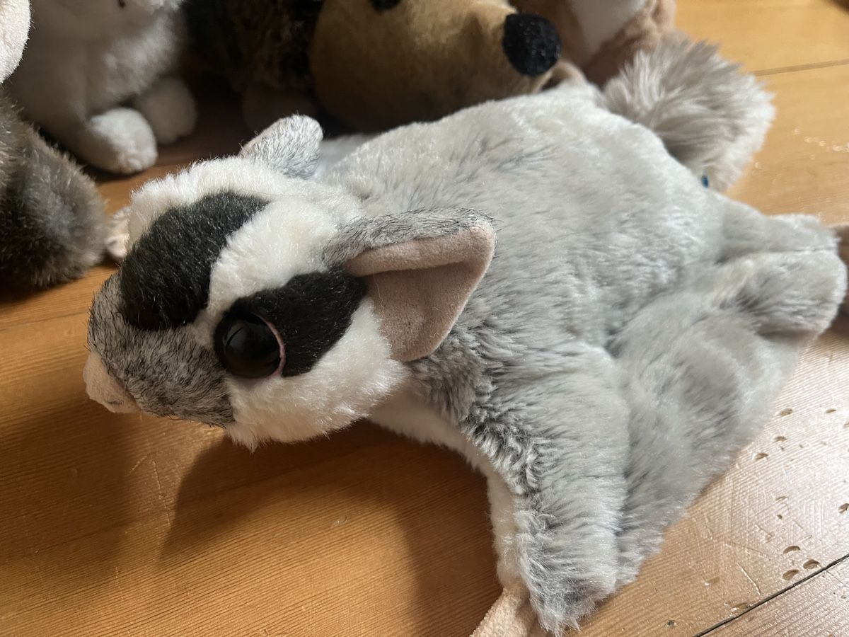 Giocattoli: Bundle of Plush Animals - Squirrel, Rabbit, Hedgehog! – Usato da Aarau venduto da kailing12 3