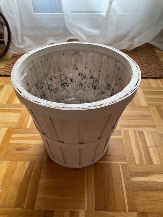 2x Ikea Blumentopf KALASA Kaufen auf Ricardo