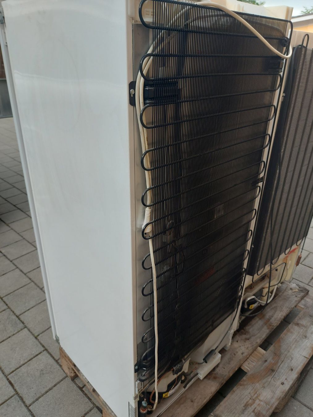 Electrolux Frigoriferi: Electrolux Einbau  Kühlschrank 55x57xH126cm – Usato da Rheinau venduto da profitronic.shop 8