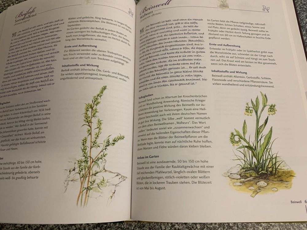 Gärtnern mit Hildegard von Bingen / GartenbuchKräuterbuch Kaufen auf