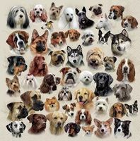 Serviette collection of dogs (1711) 2Stk.