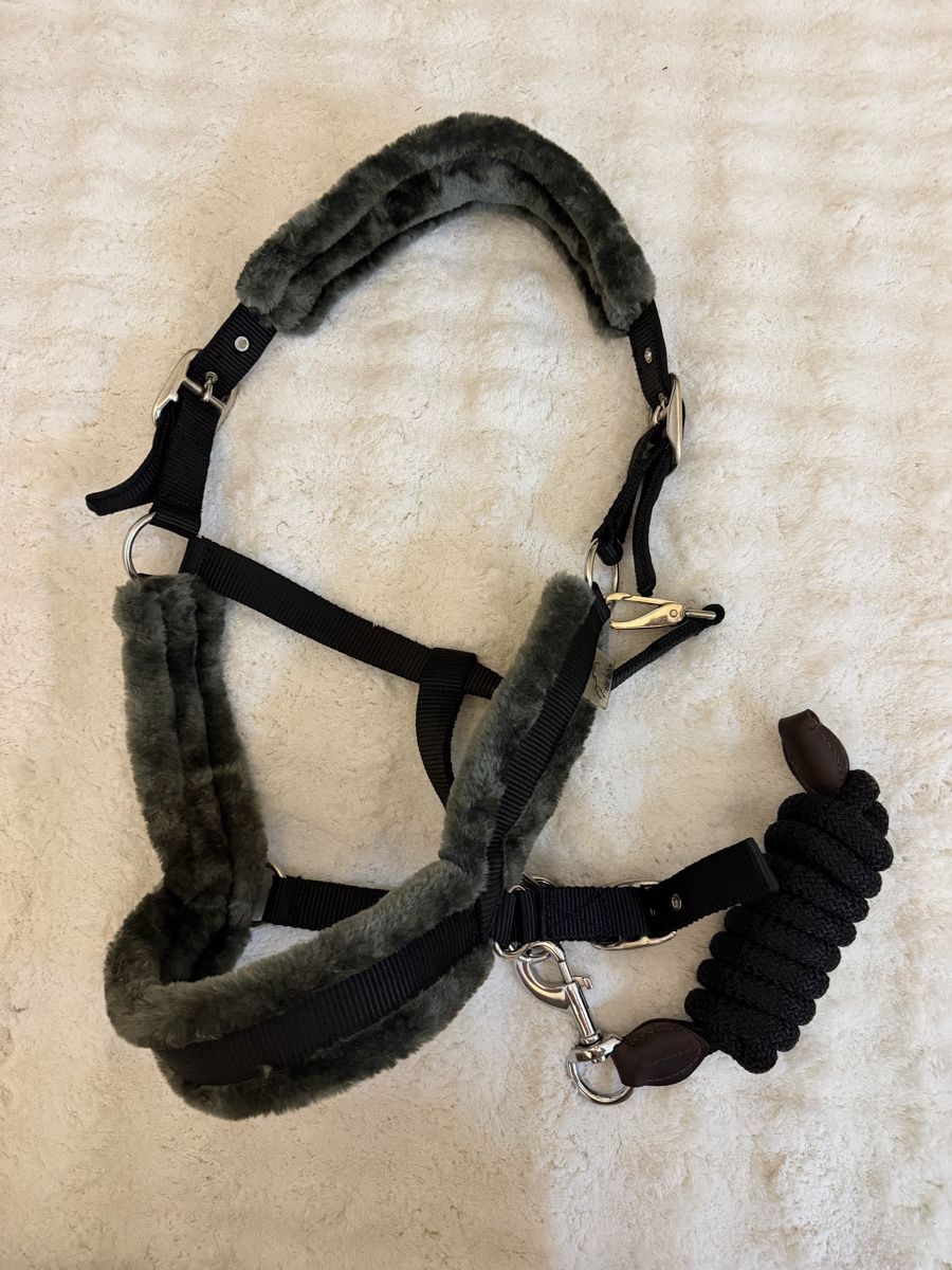 Briglie & Cavezze: Halfter Teddyfleece mit Strick – Nuovo e nell'imballaggio originale da Rheinfelden venduto da Schoefli74