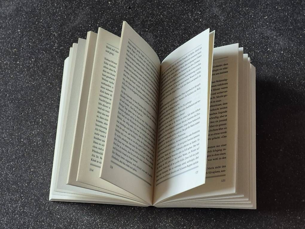 Libri: Das grüne Seidentuch von Marcella Maier – Usato da St. Gallen venduto da Amelie_73 2