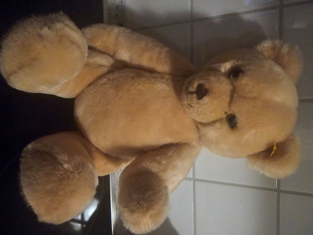 Steiff Teddybär, sehr gut erhalten, Sammlerstück, Top! 4