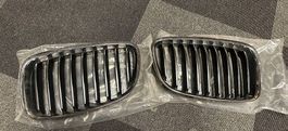 BMW GT F07 Kühlergrill