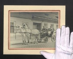 Fotografie Pferdekutsche mit zwei edlen 