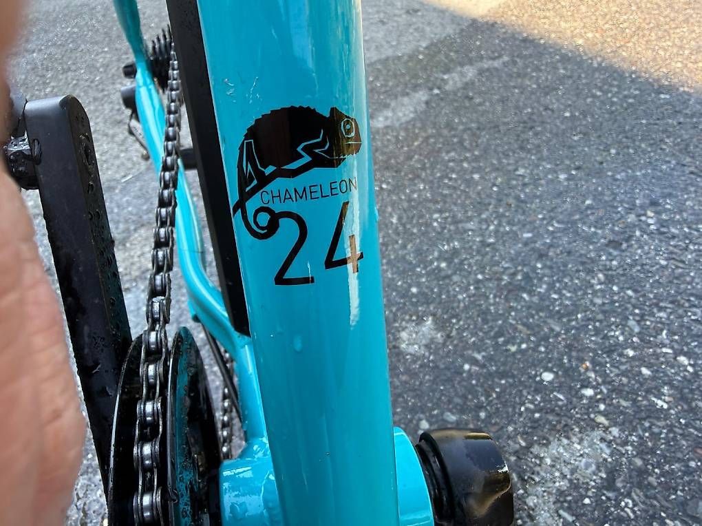 Biciclette: Naloo Kameleon MK2 24" Kindervelo – Usato da Düdingen venduto da ritzu86 3