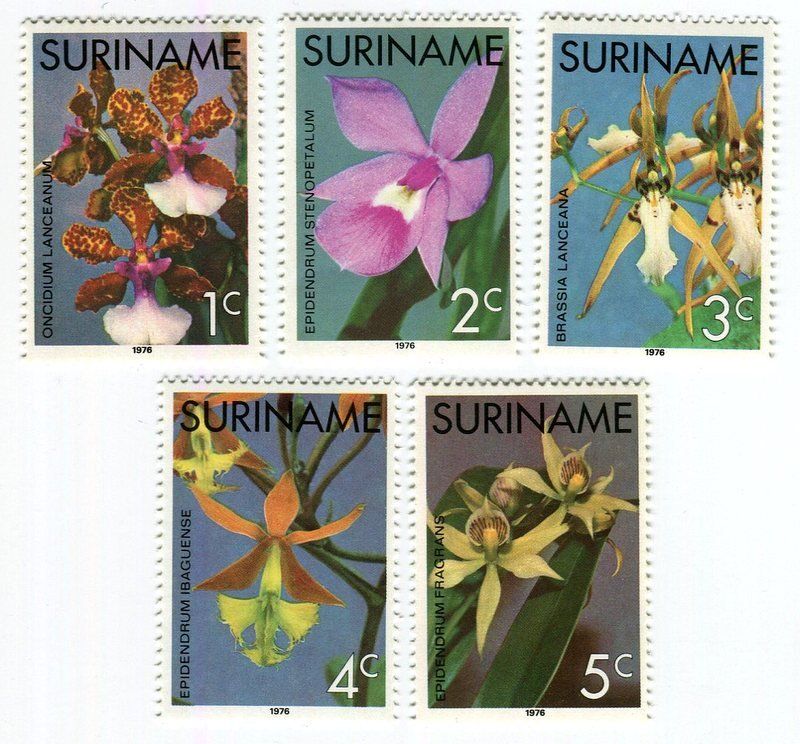 Alle Briefmarken: Briefmarken "Orchideen". Suriname. – Neu und originalverpackt aus Basel von Butsch5