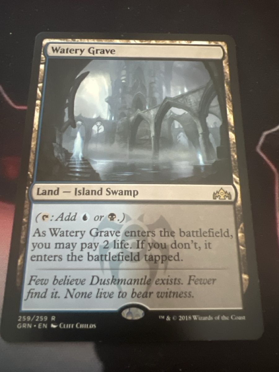 Magic The Gathering Sammelbilder & Trading cards: Magic The Gathering Watery Grave – Gebraucht aus St. Gallen von lob_bkw9