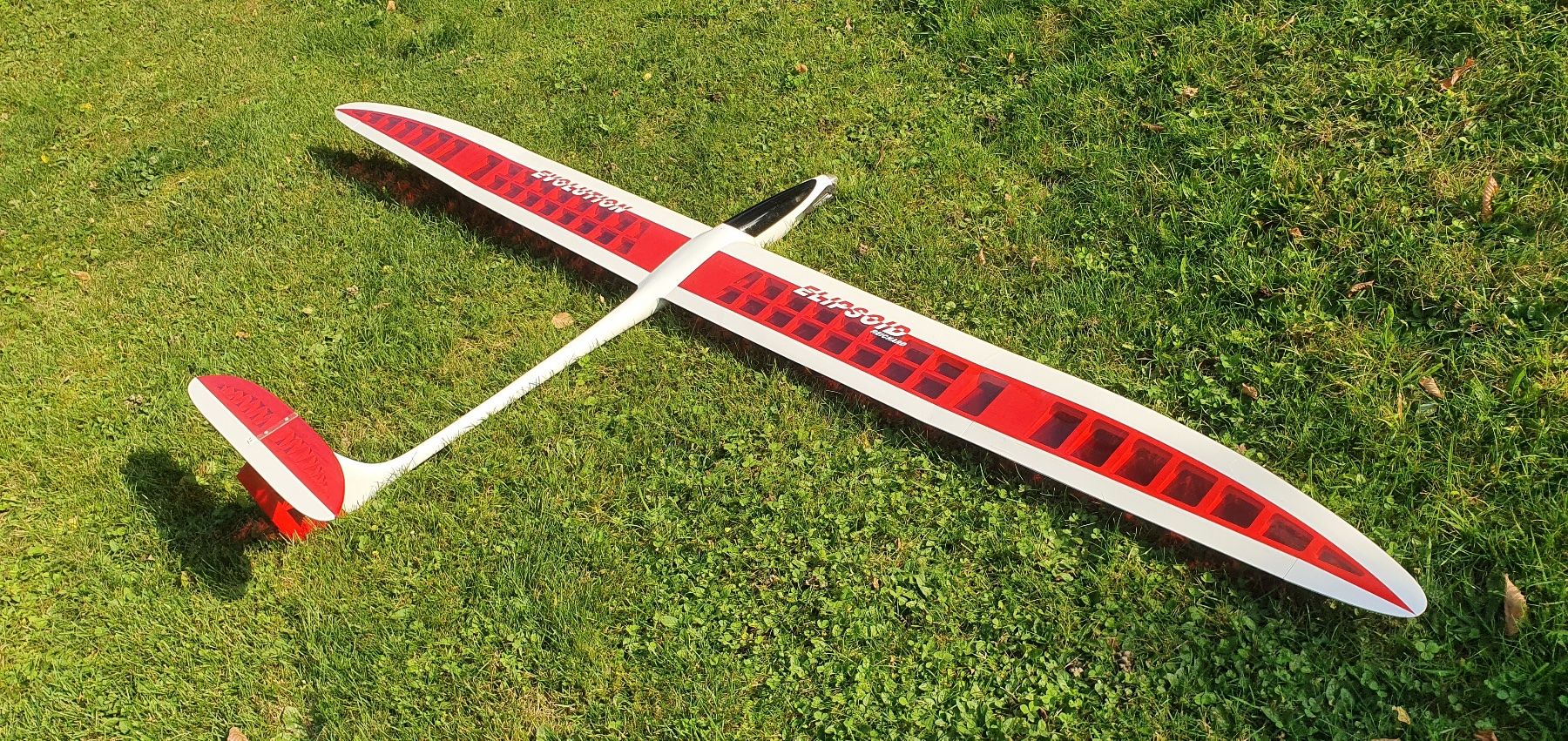 Modellismo RC: Elipsoid Evolution Elektrosegler – Usato da Herisau venduto da Magoeldi 1