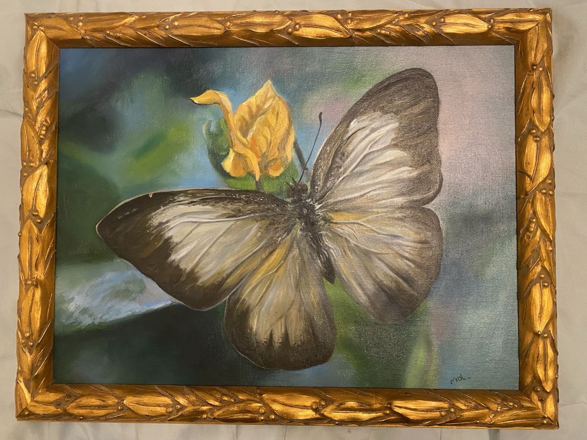 Dipinti: Elegantes Schmetterling-Gemälde mit Goldrahmen - Hingucker – Usato da Killwangen venduto da BeautysAndEmmas