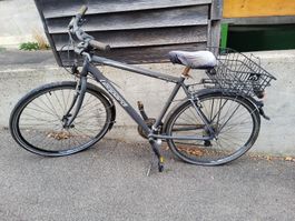 Leopard Citybike 28" mit Korb & Shimano-Schaltung