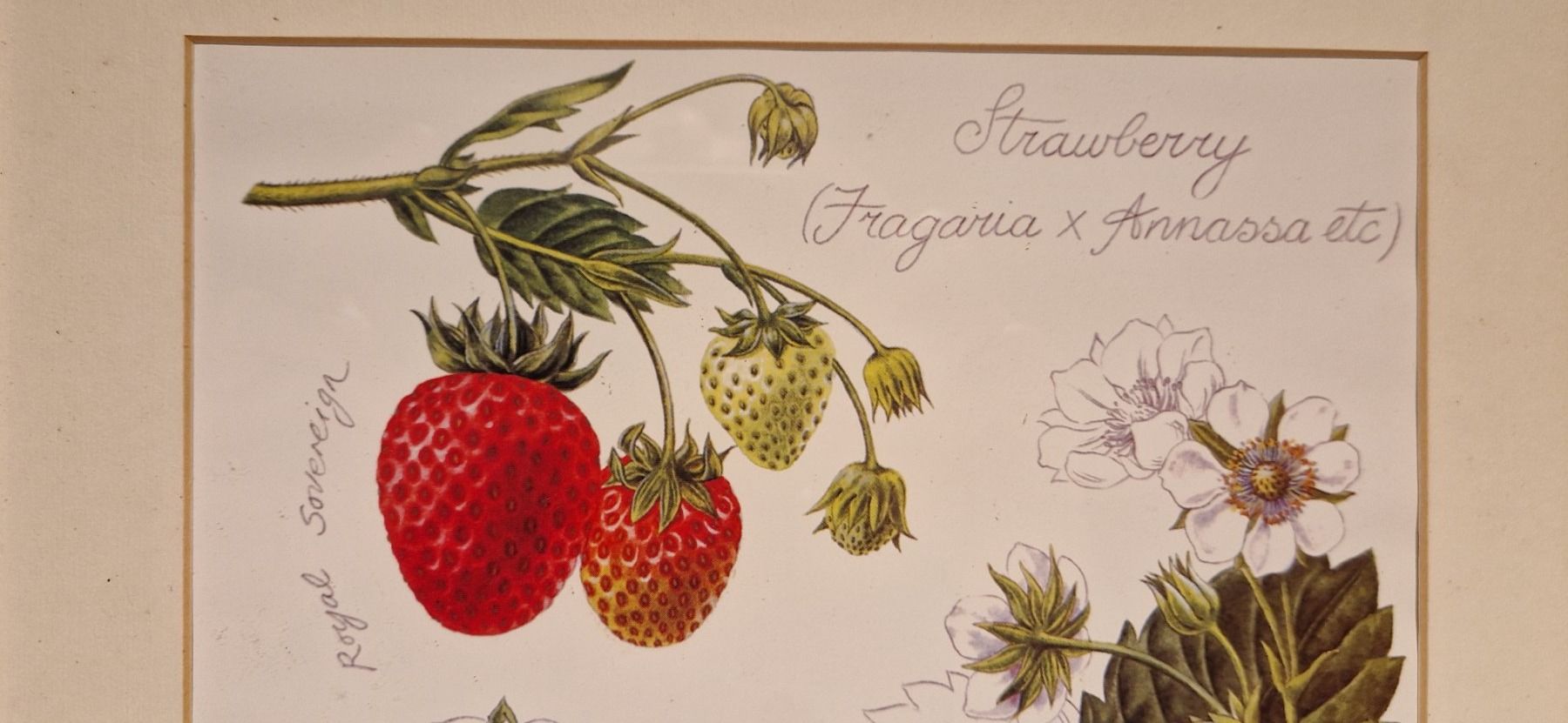 Posters & Illustrations: 2 Handgemalte Bilder mit Holzrahmen – D'occasion à Buus par Borki07 6