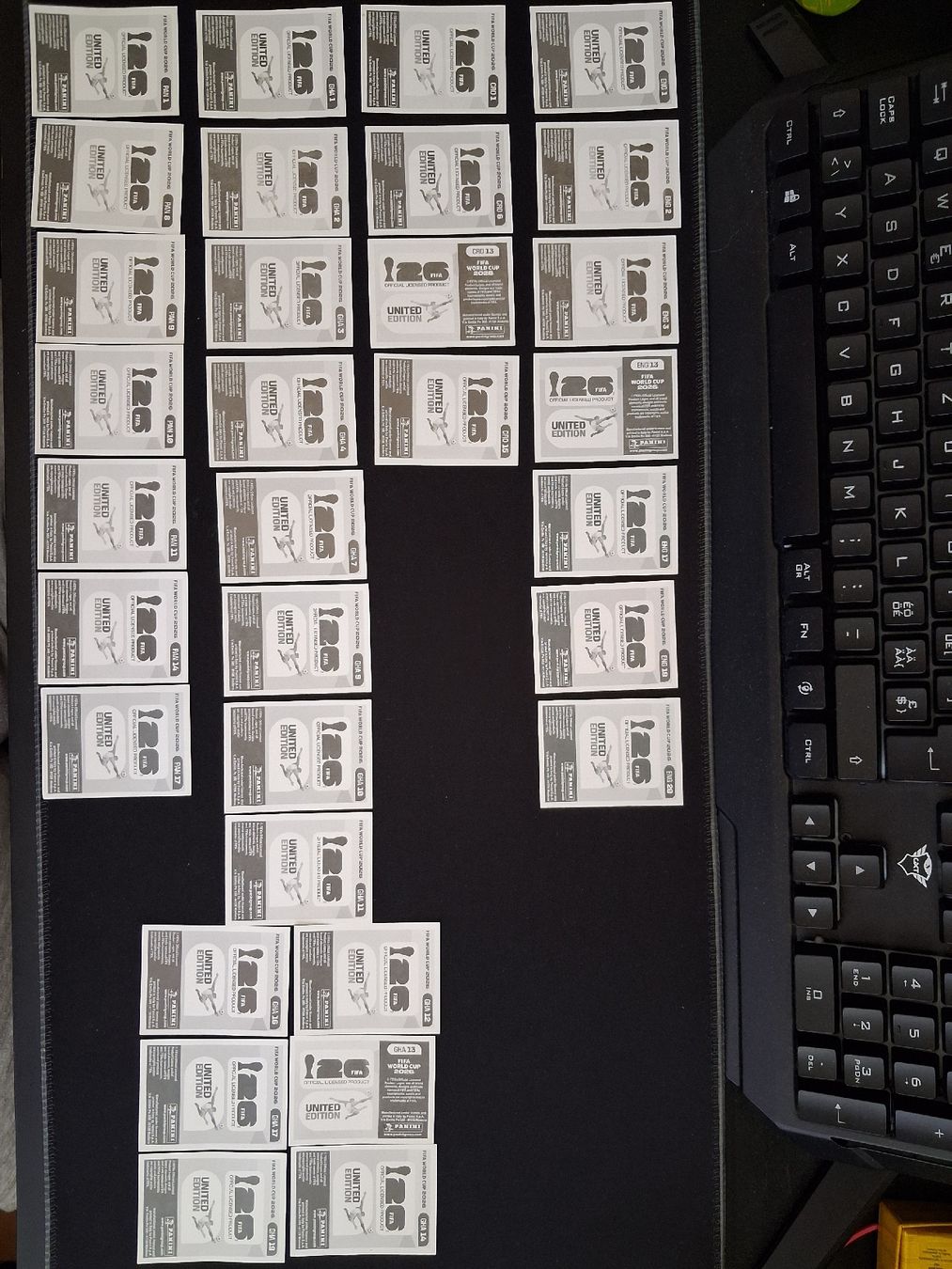 Panini Sammelbilder & Trading cards: Panini Gruppe L – Neu (gemäss Beschreibung) aus St. Gallen von Nitrol910 1