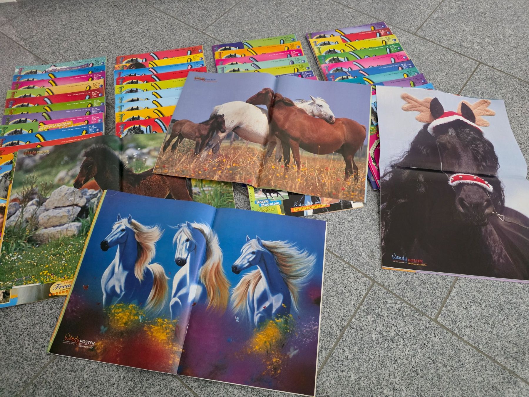 Fumetti: Wendy Comic Hefte/ Pferde Zeitschriften von 2000 – Usato da Tägerschen venduto da mamirockt 7