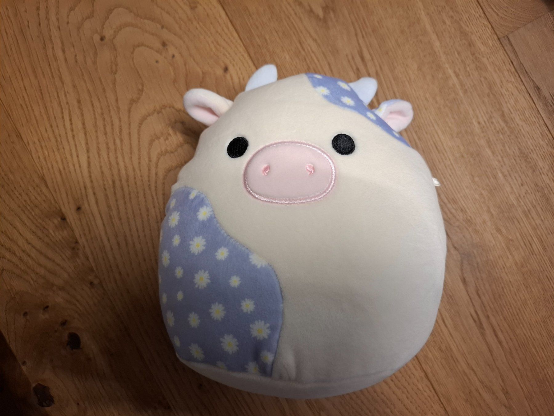 Squishmallows Jouets: 2x Squishmallow 20cm – D'occasion à Mels par Aloha86 1