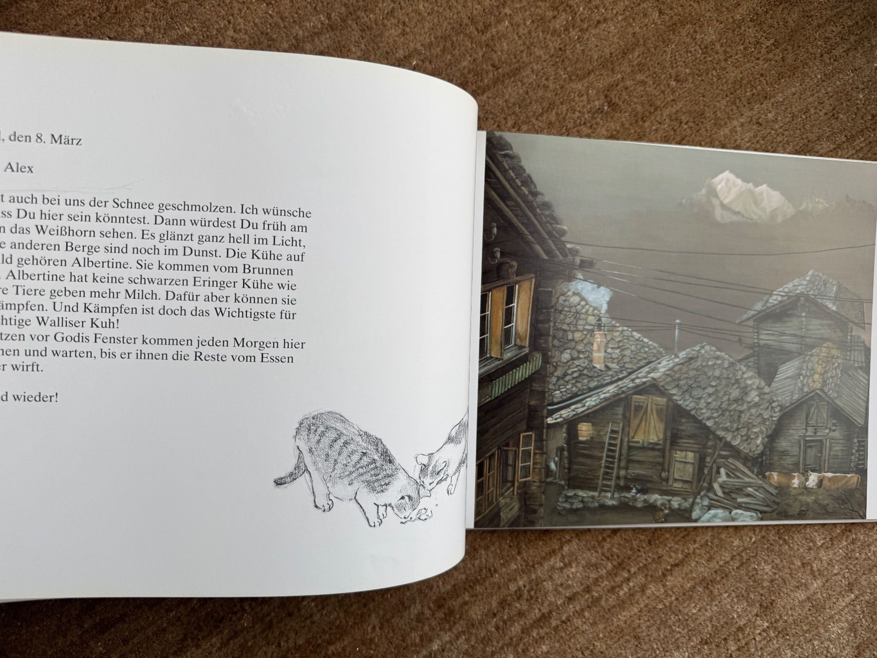 Libri: Lieber Alex -Helen Güdel – Usato da Aarau venduto da Kilauea 4
