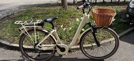 Damen Vintage EBike
