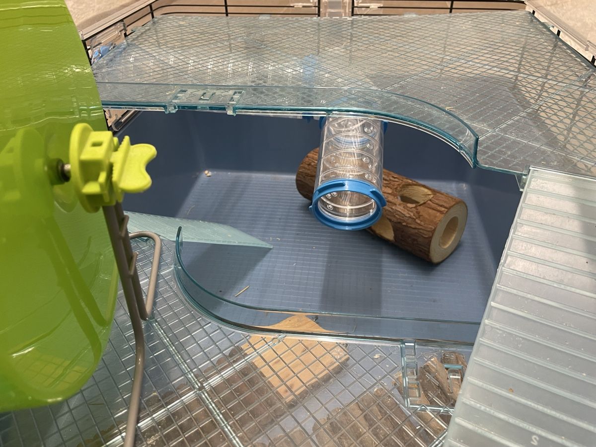 Ferplast Käfige, Transport & Sicherheit: Hamsterkäfig mit Zubehör, gebraucht  – Gebraucht aus Winterthur von rosen17 3