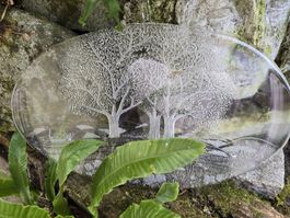 Glasplatte Hergiswil mit Baumrelief 