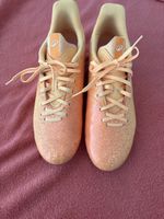 Crampons 