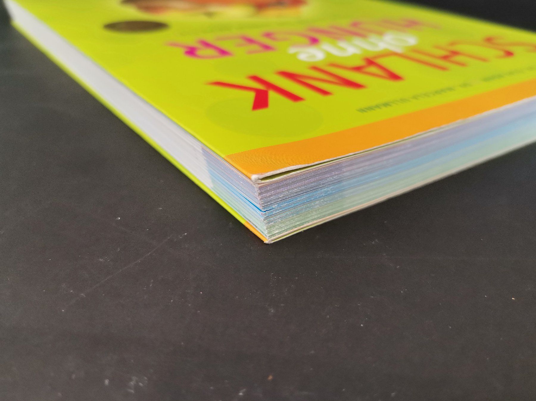 Libri: BUCH - Schlank ohne Hunger – Usato da Schaffhausen venduto da Restwert_SH 8