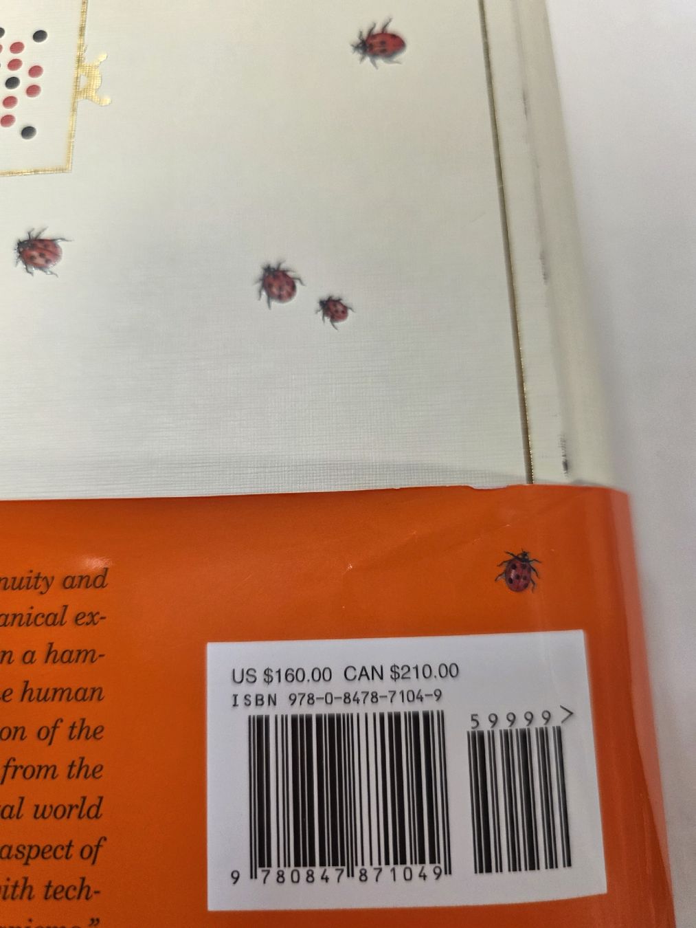 Libri: Codex Seraphinianus Luigi Serafini Buch neuwertig – Usato da Dotnacht venduto da hum_dy82 3