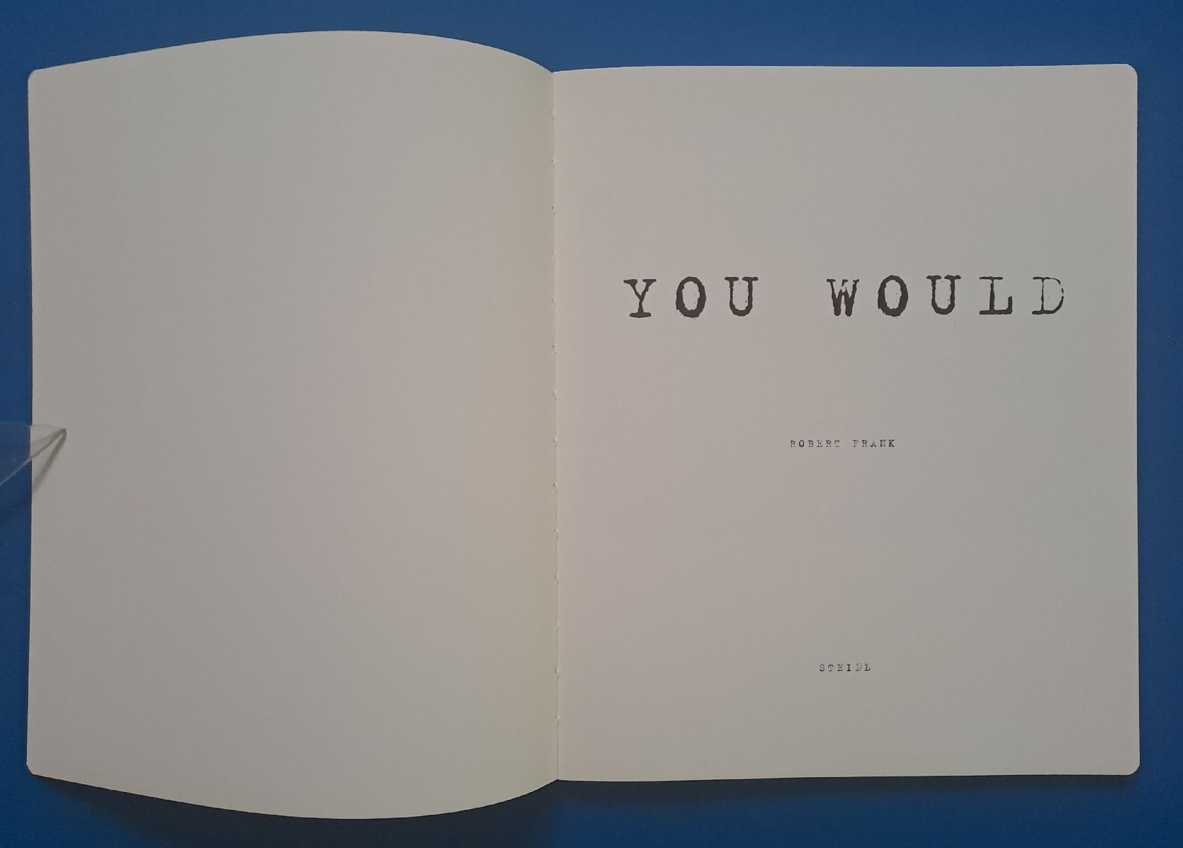 Libri: Robert Frank: YOU WOULD EA 2012 Steidl Top erhalten.  – Usato da Zürich venduto da archiphil 1