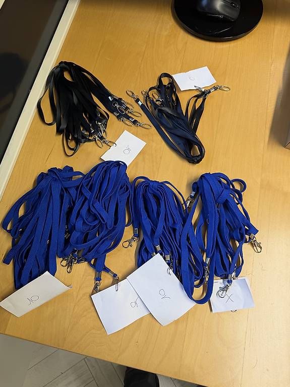 Placchette & Badge: Badge e cordoni porta badge – Usato da Lugano venduto da club.888 1