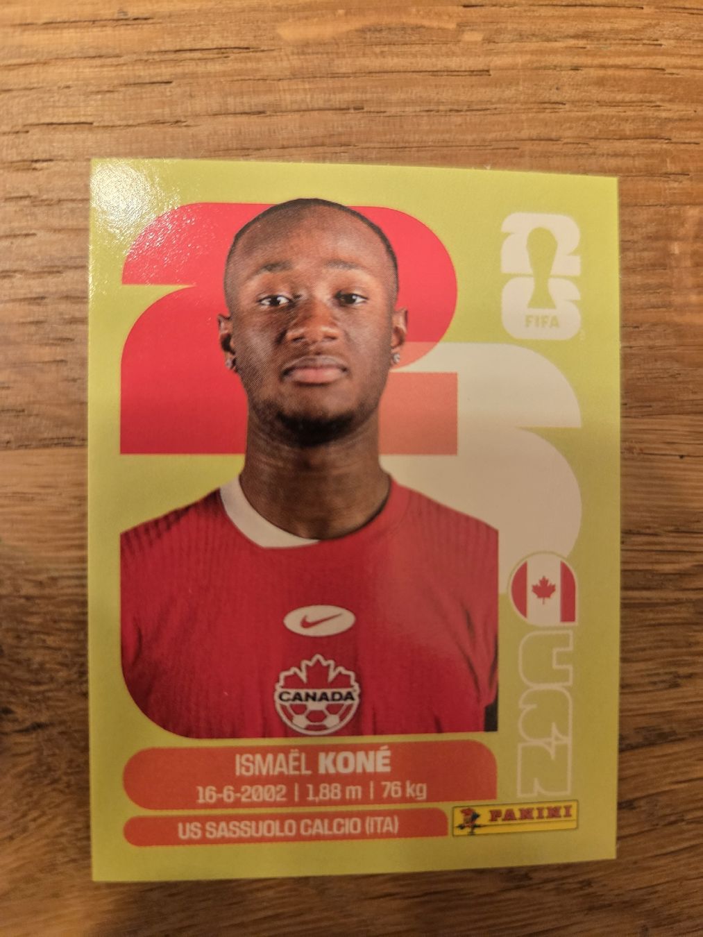 Panini Carte collezionabili: Panini Sticker 2026 CAN 11 – Nuovo (secondo la descrizione) da Luzern venduto da .Skylake.