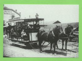 Pferdebahn Basel, Tram-Omnibus