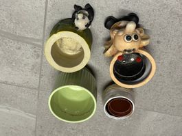 Lot de petit pots de fleurs rigolos