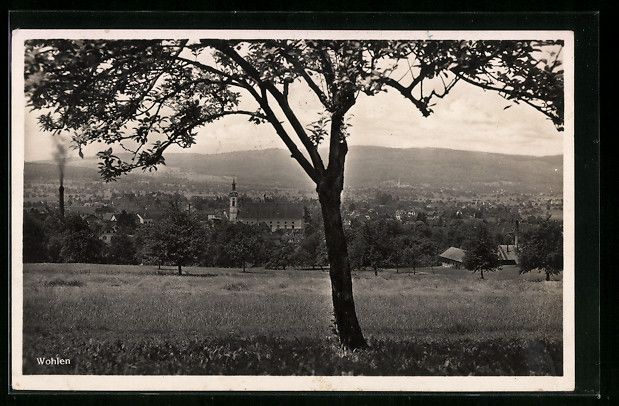 Ansichtskarten: Wohlen, Teilansicht mit Kirche und Baum – Gebraucht aus Berlin von bartko-reher