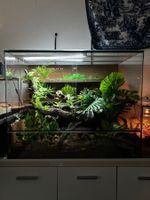 Terrarium