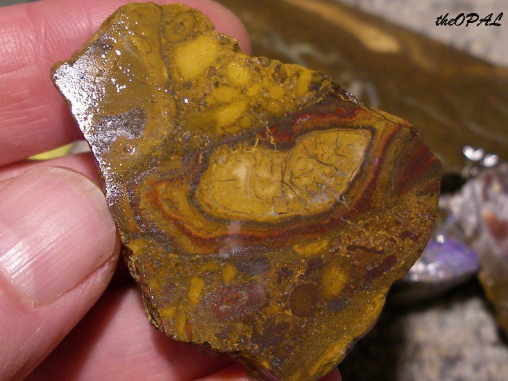 Minerali & Pietre curative: theOPAL *** 8 rohe australische Opale 760ct *** – Nuovo e nell'imballaggio originale da Ebnat-Kappel venduto da theOPAL 3